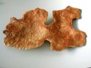 Nr.: 55 Kirschbaum  Holz geschnitzt  gelt                                             Lnge ca.120 cm Dicke ca.10 cm  568,-
Holzkunst_Holzskulptur_wood art home accessoire Skulptur0007